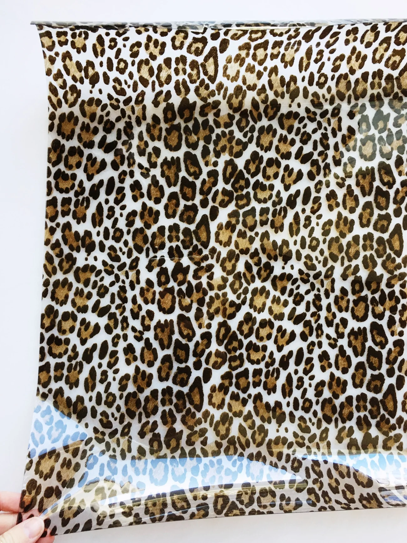 Leopard Clear Vinyl - Image 4