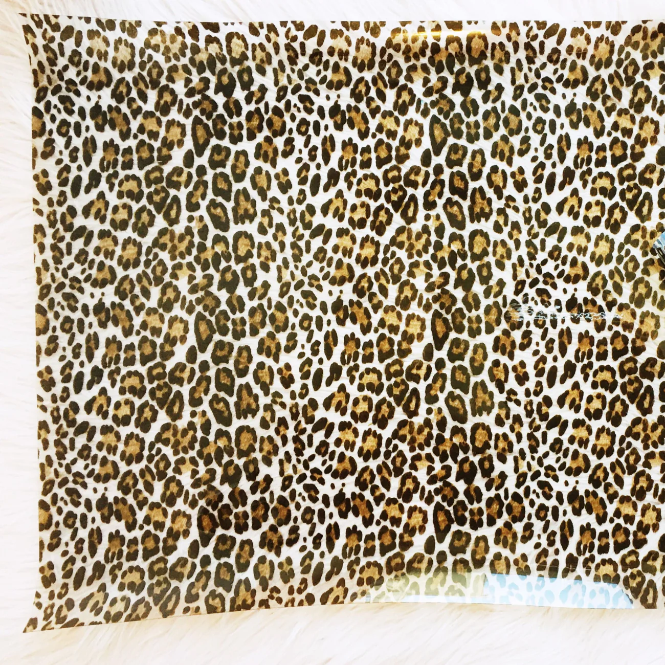 Leopard Clear Vinyl - Image 6