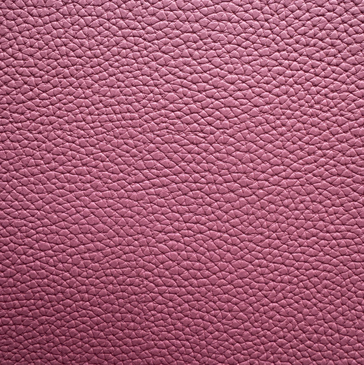 Moonglow Pretty in Pink - Image 2